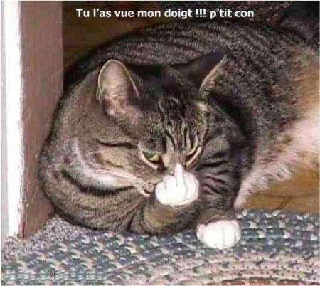 alor tu la vu ou pa