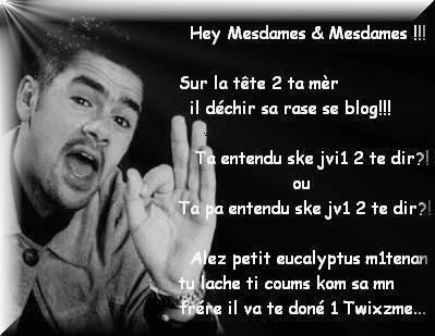 alé fé ce ke te di jamel