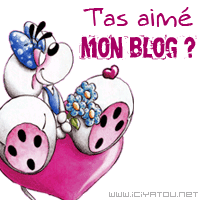 t'as aimé mon blog