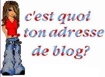 c koi ton adresse de blog