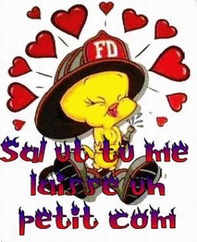 alez un tit com