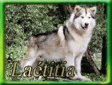laetitia